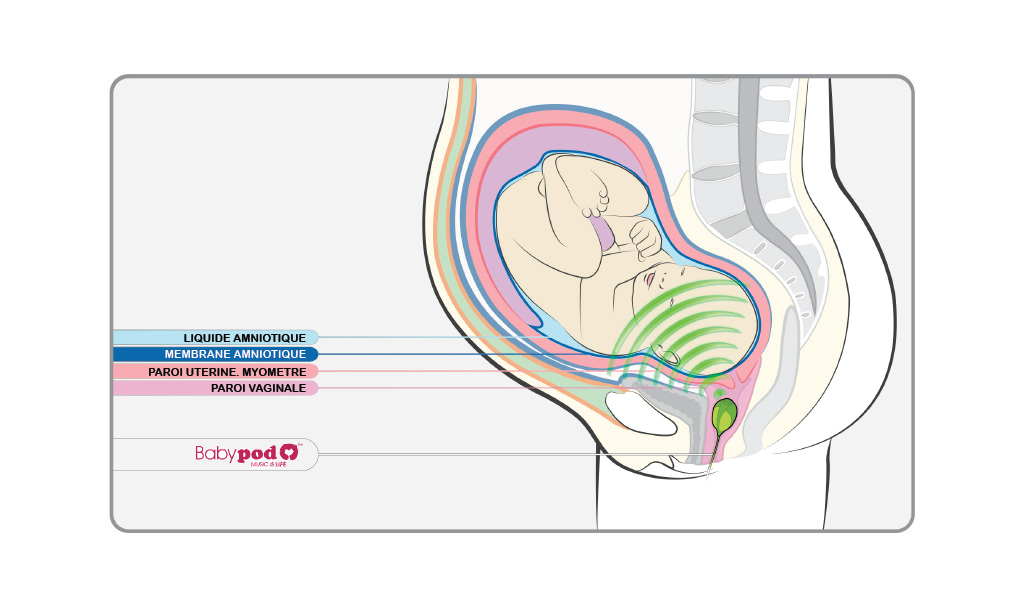 BabyPod-Altavoz_fr