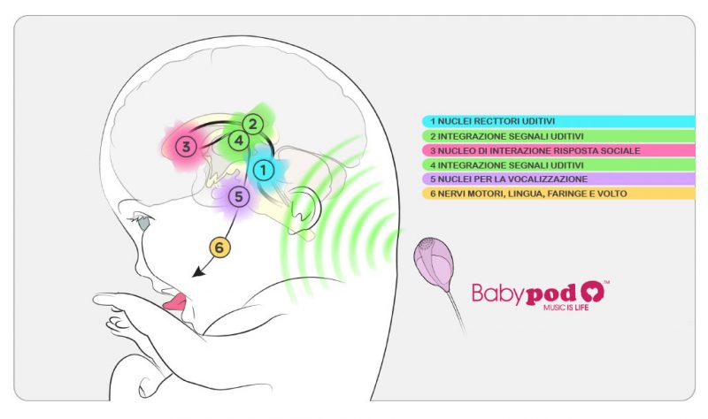 BabyPod-Cerebro-A-1_it Babypod
